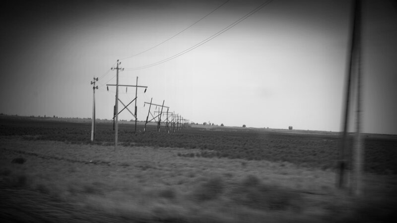 Power Lines in Field — Black, Dramatic