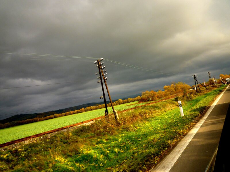 Power Lines in Field — Green