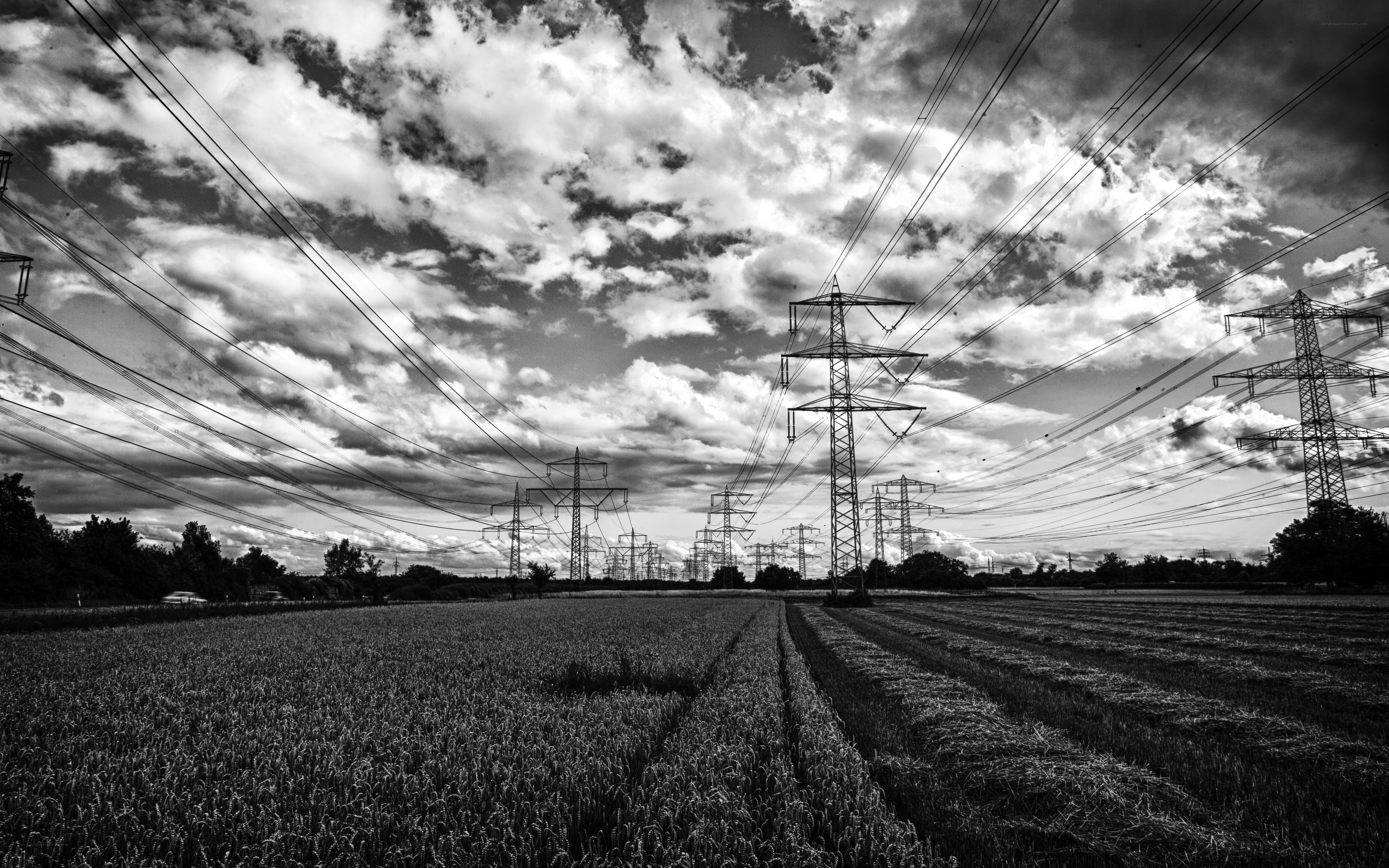 Power lines over a field