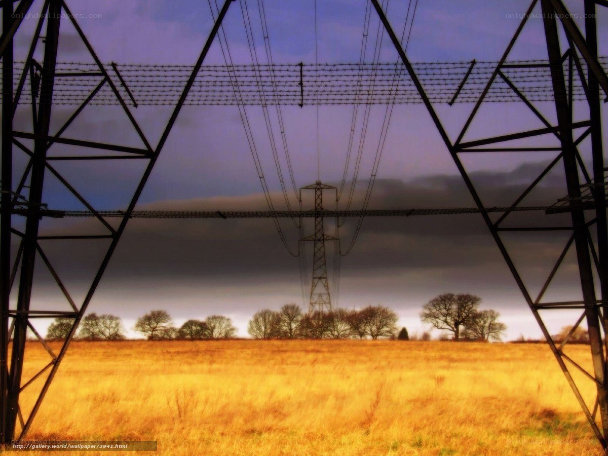 Power lines over golden field