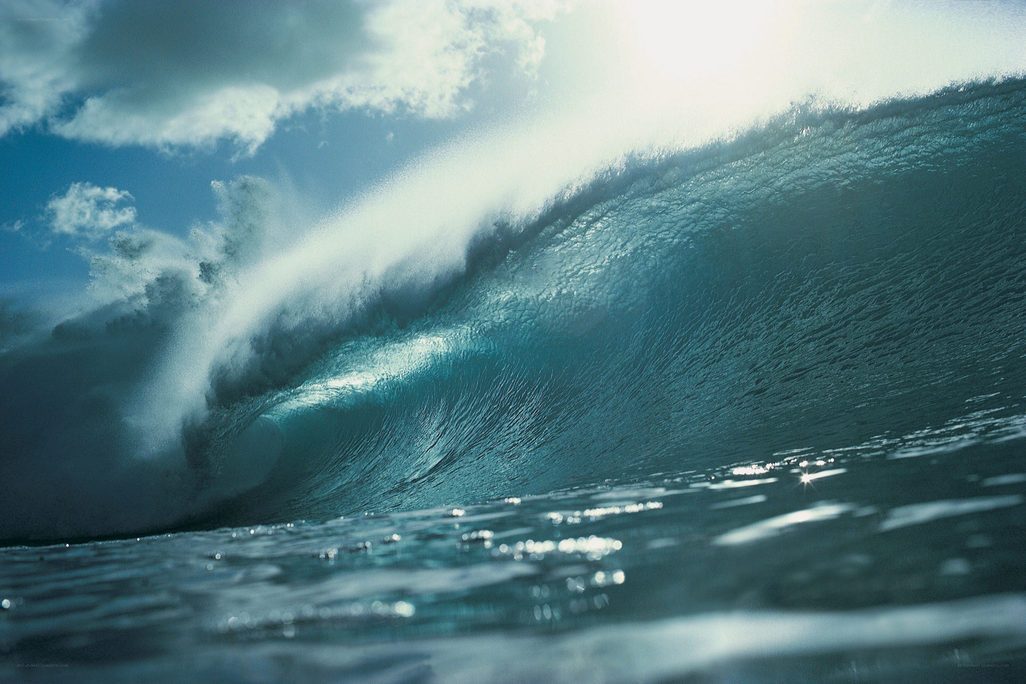 Powerful ocean wave at sea