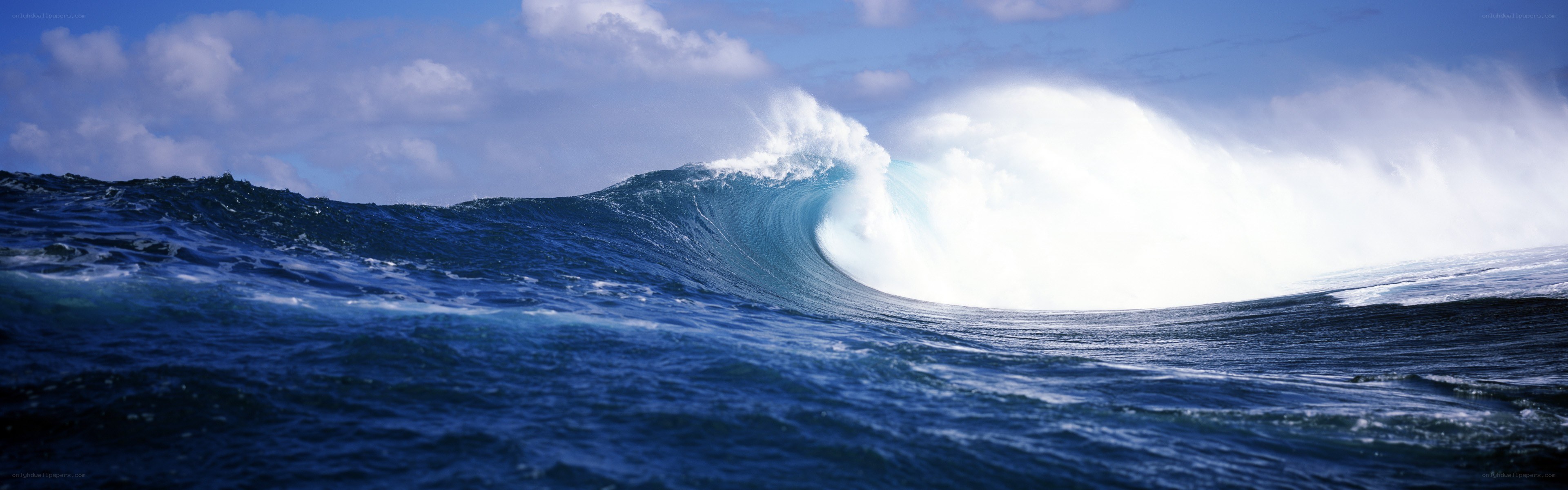 Powerful ocean wave at sea