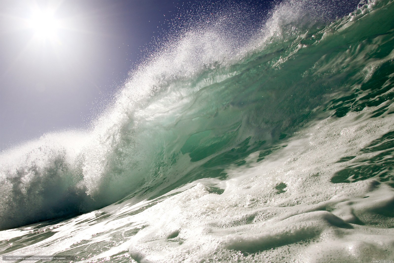 Powerful ocean wave at sunrise