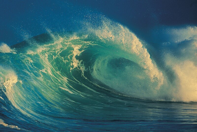 Powerful ocean wave at sunset