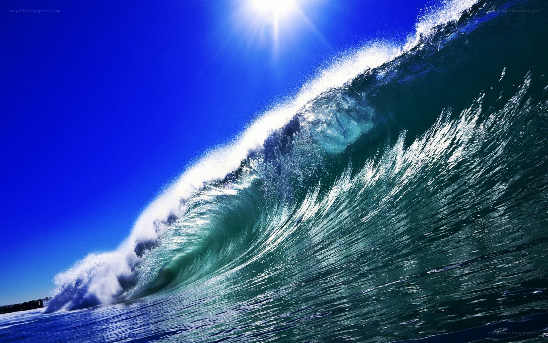 Powerful ocean wave at sunset