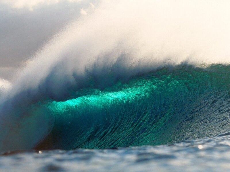 Powerful ocean wave at sunset
