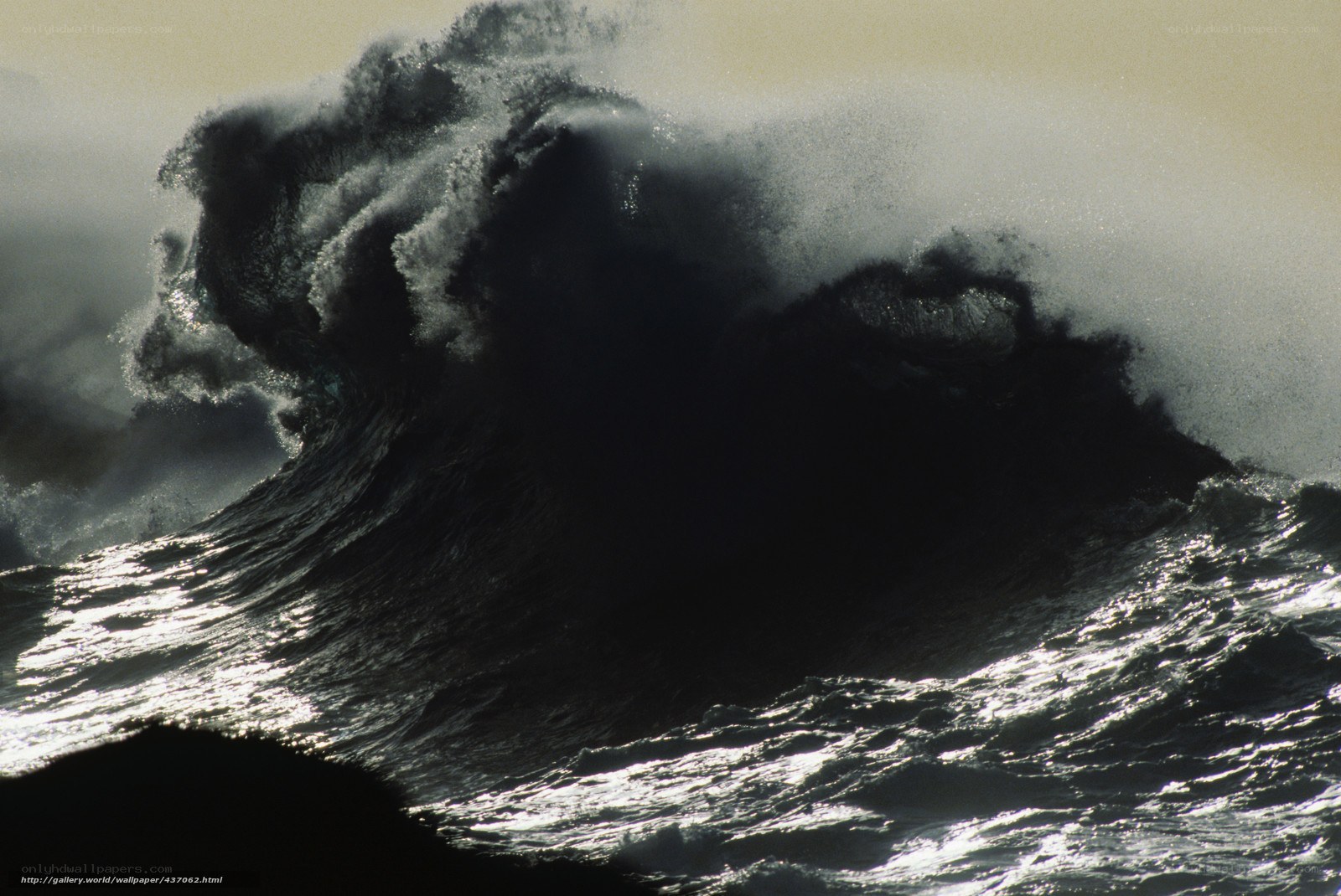 Powerful ocean wave crashing