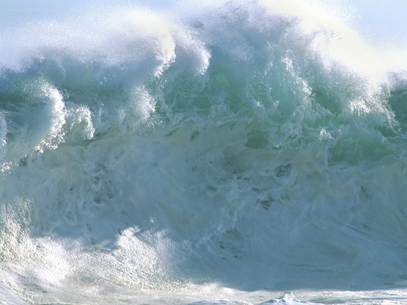 Powerful ocean wave crashing