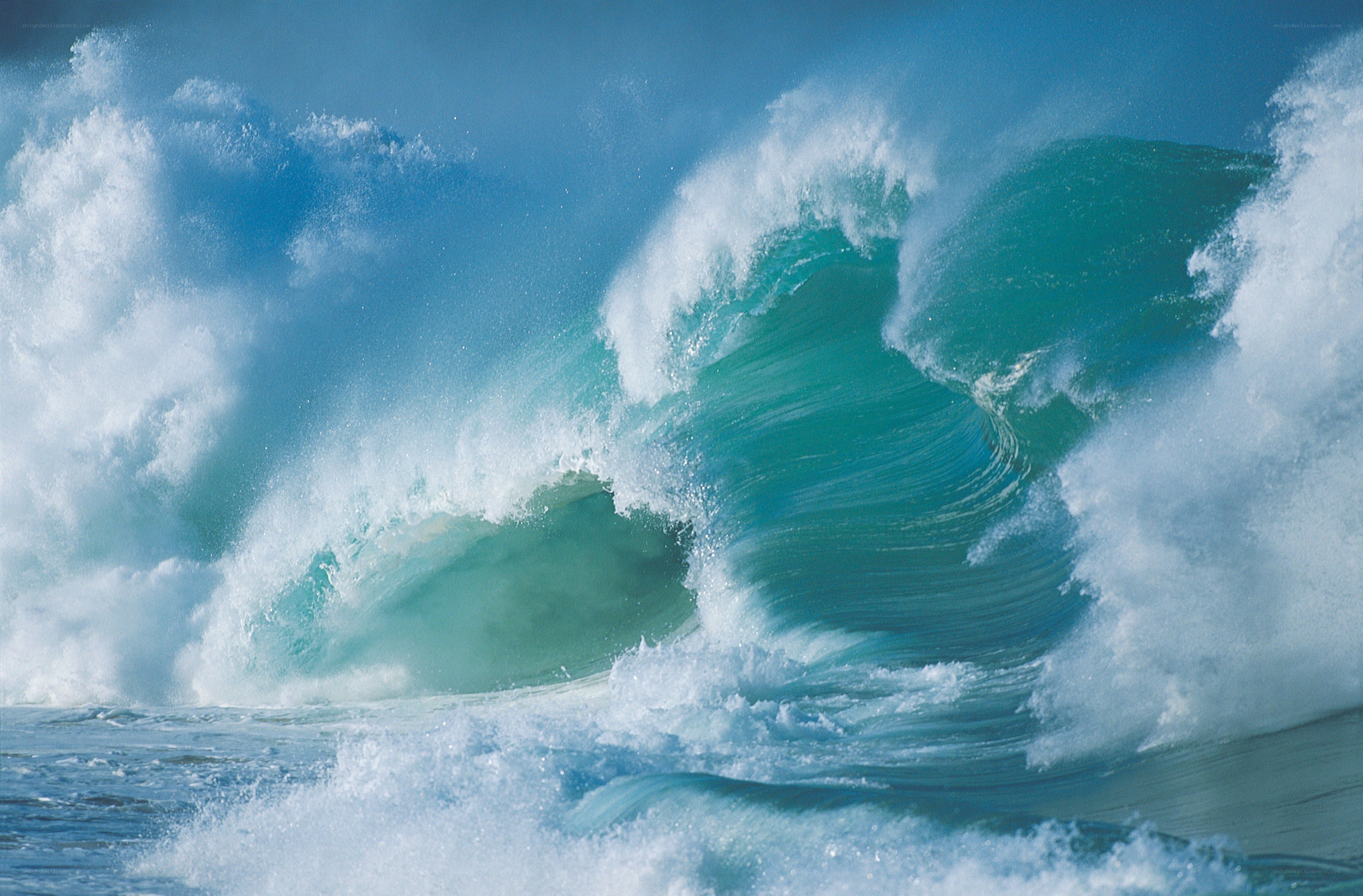 Powerful ocean wave crashing