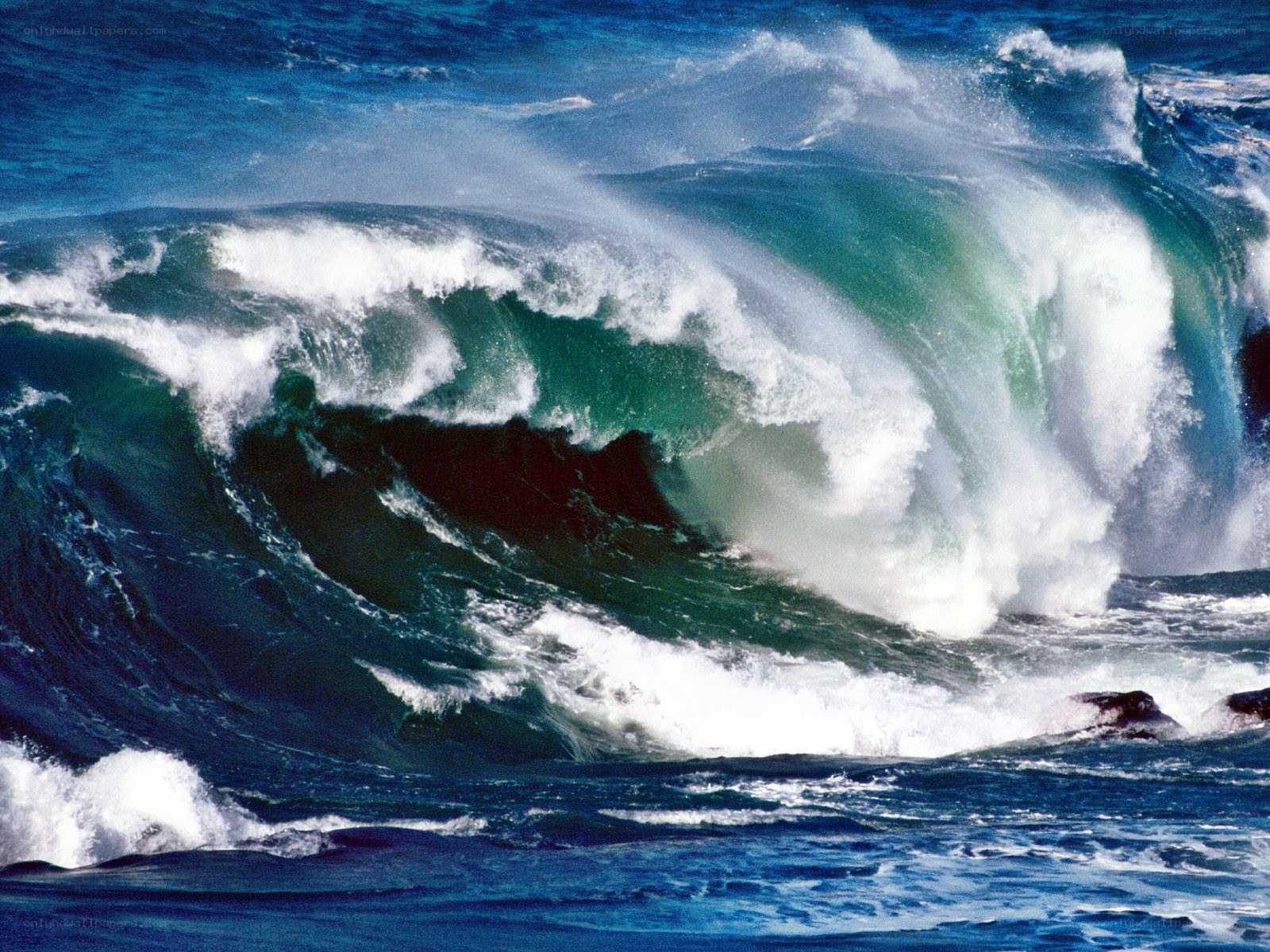 Powerful ocean wave crashing