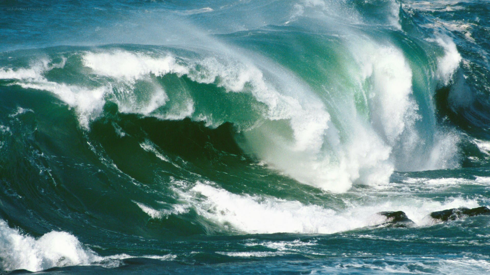 powerful ocean wave crashing