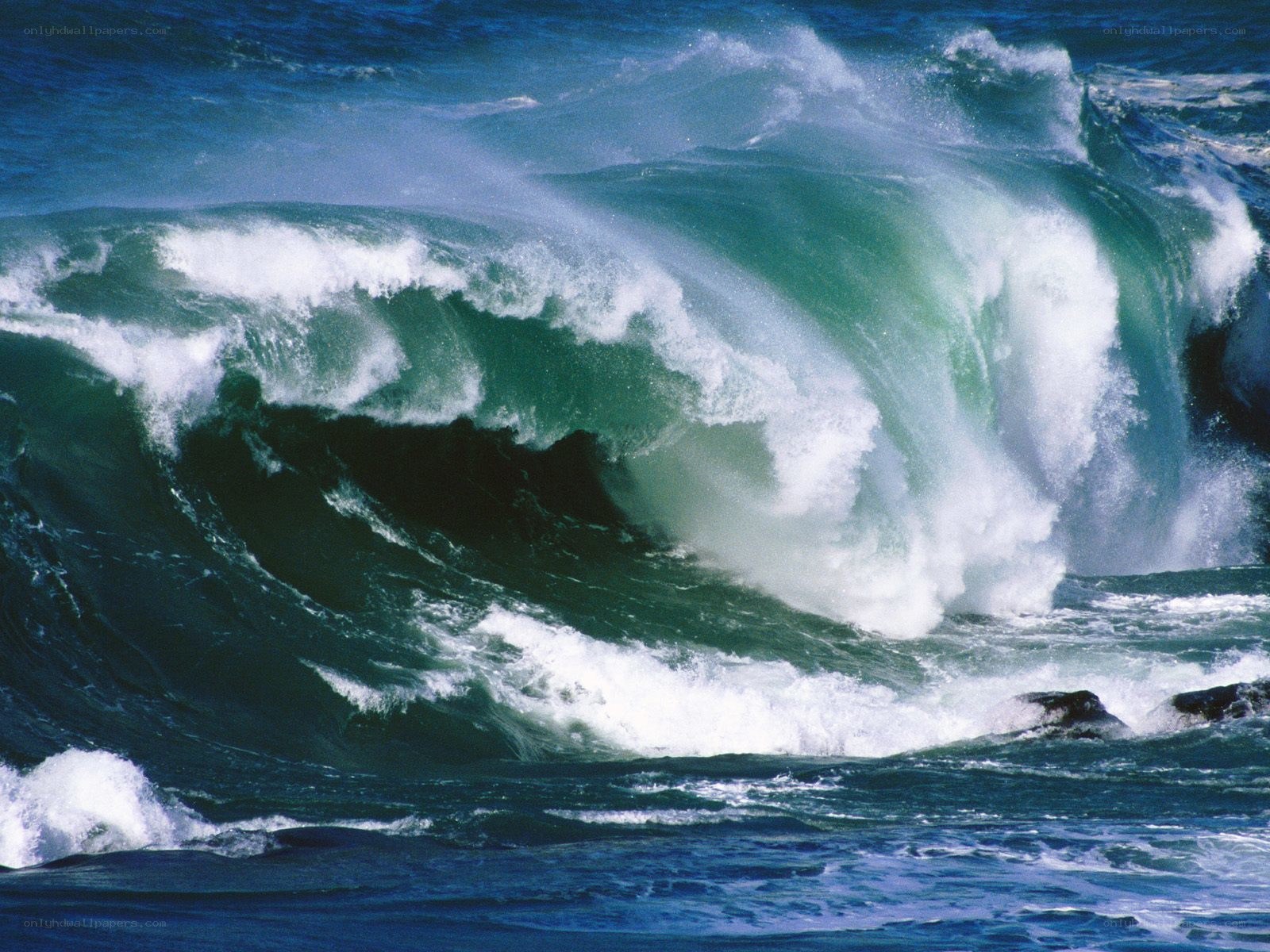 Powerful ocean wave crashing
