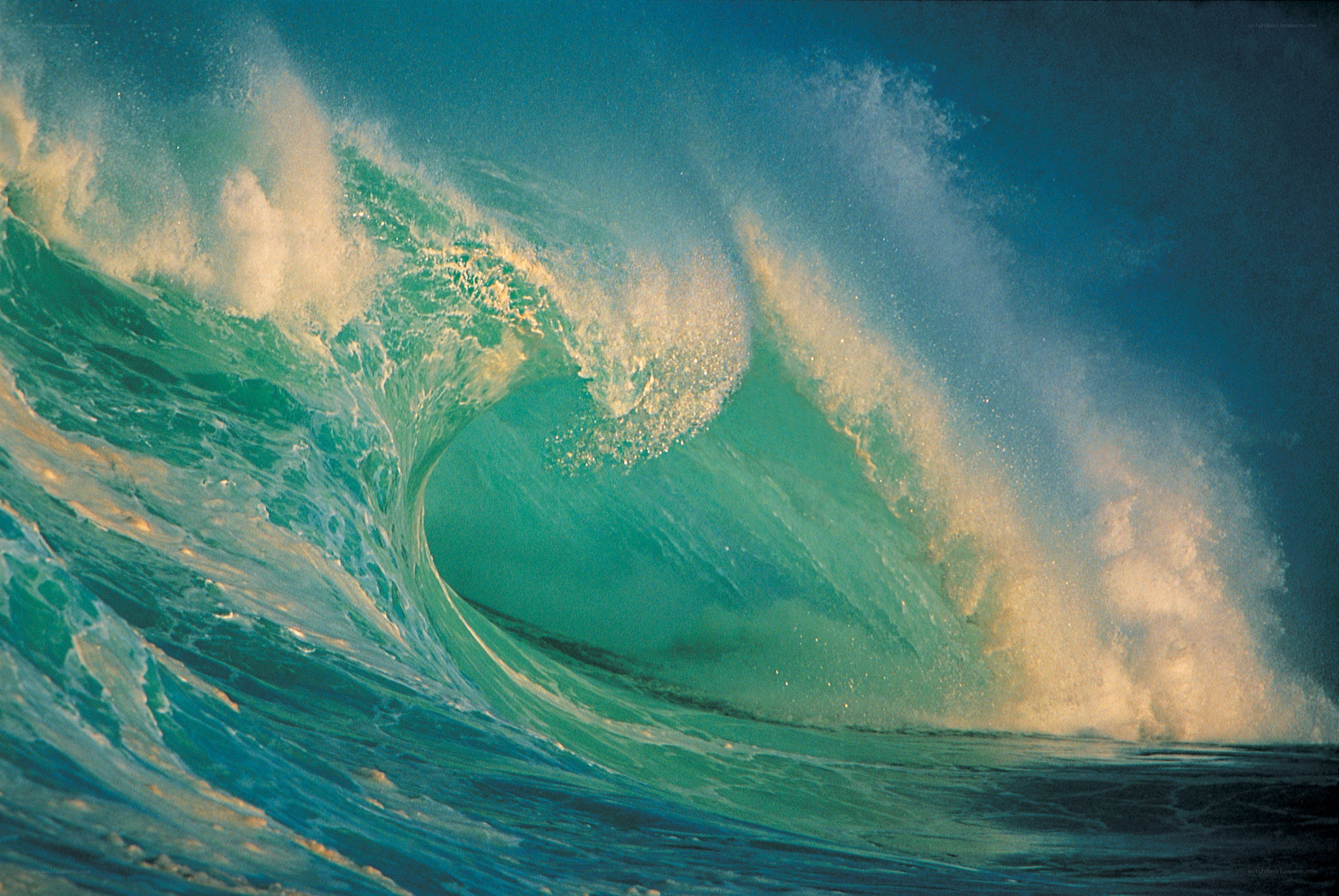 Powerful ocean wave curling