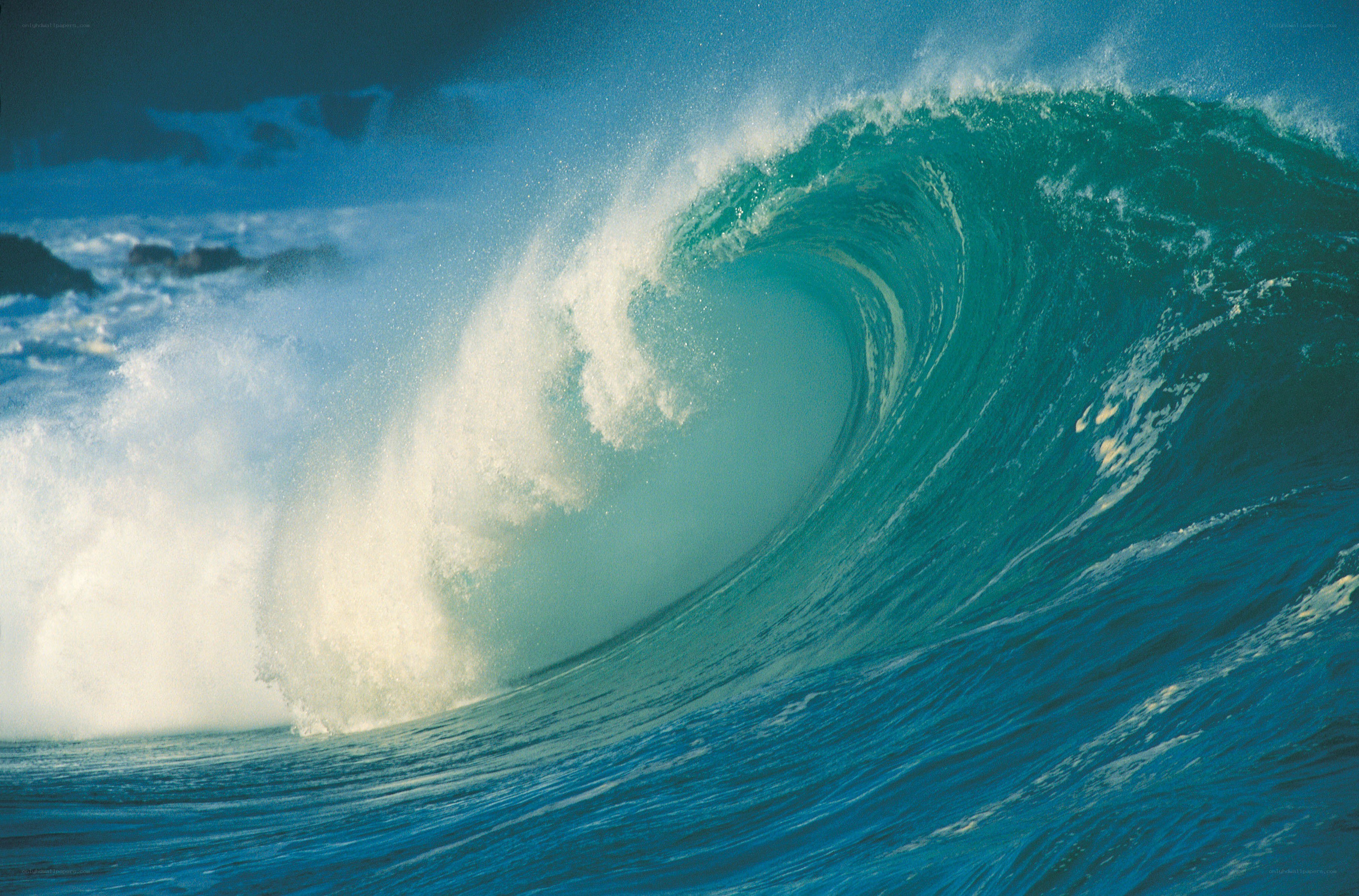 Powerful ocean wave curling