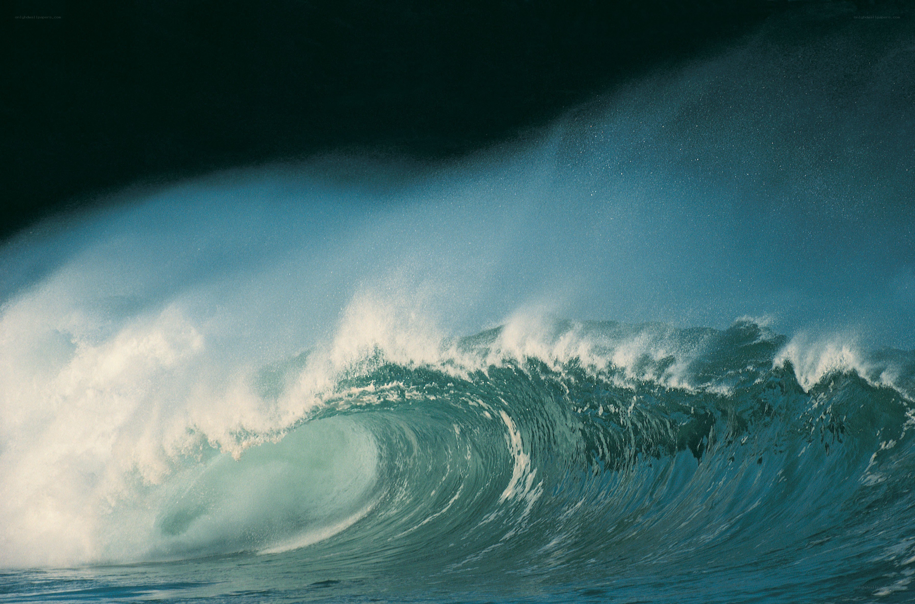 Powerful ocean wave curling