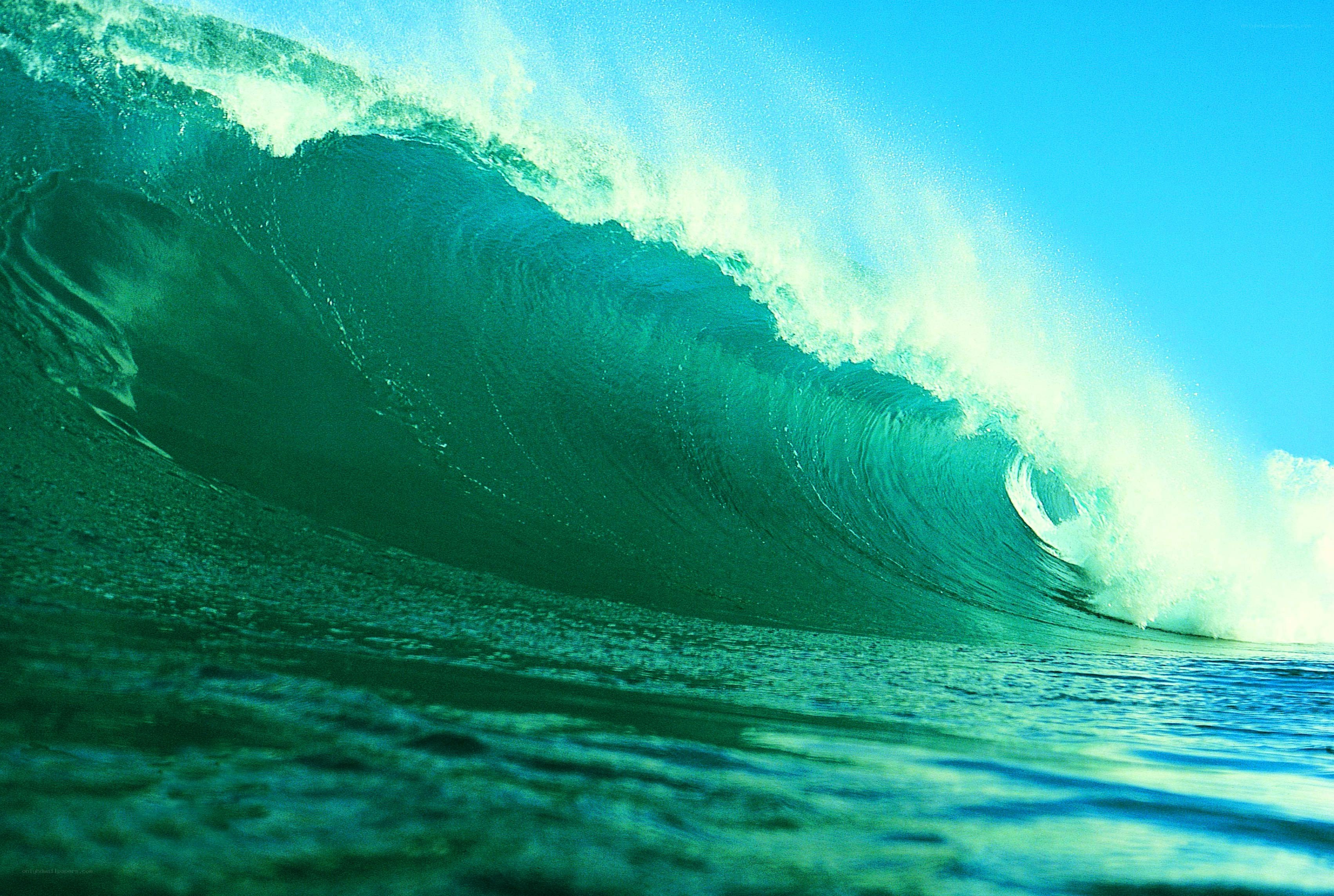 Powerful ocean wave curling