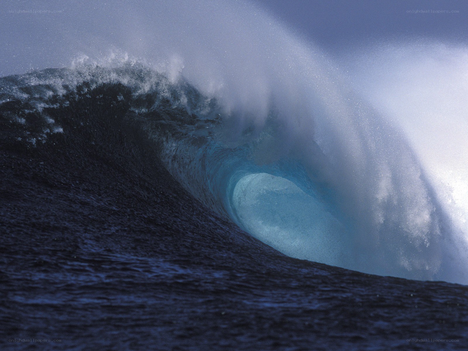 Powerful ocean wave curling
