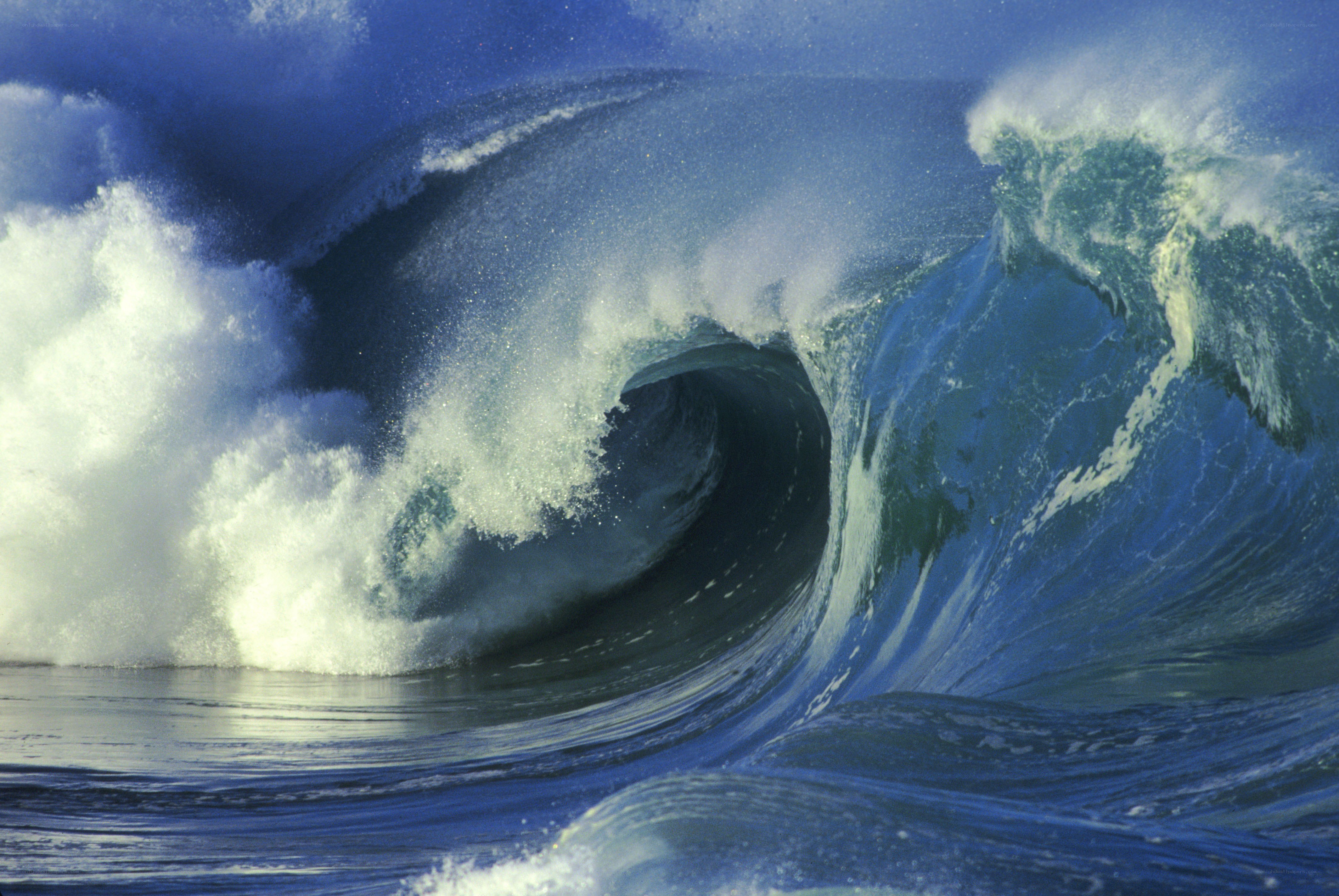 Powerful ocean wave curling