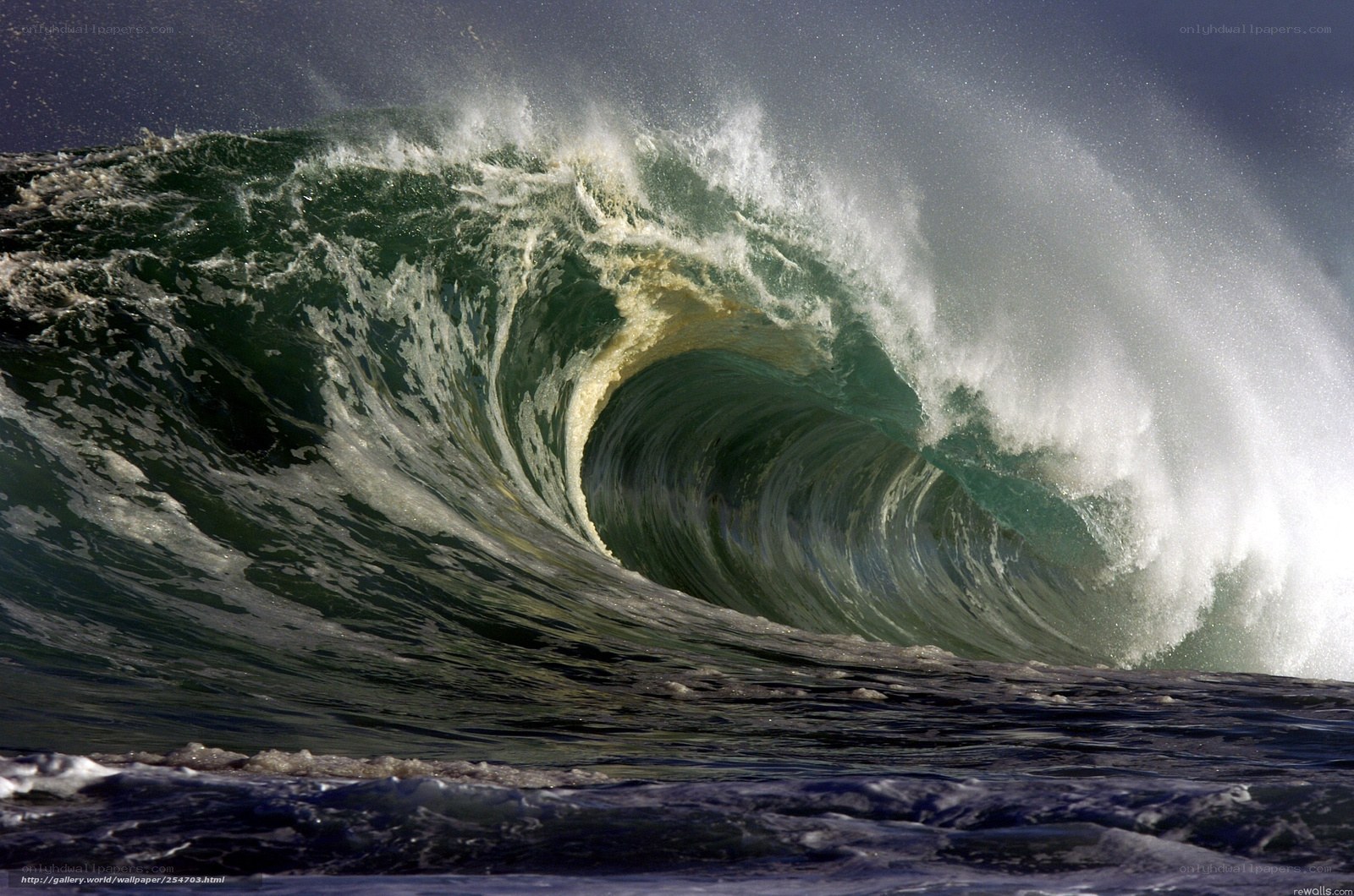 Powerful ocean wave curling