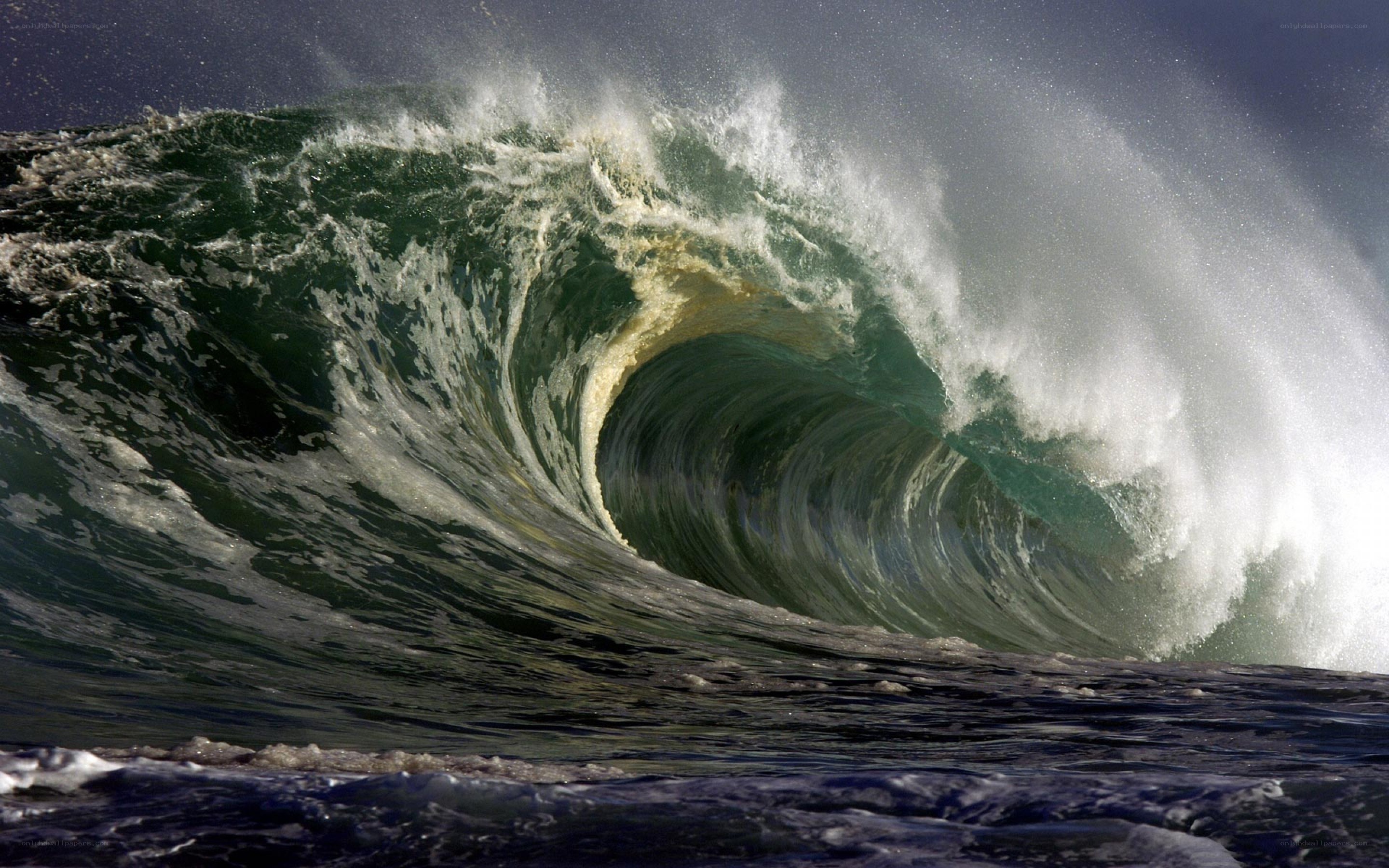 Powerful ocean wave curling