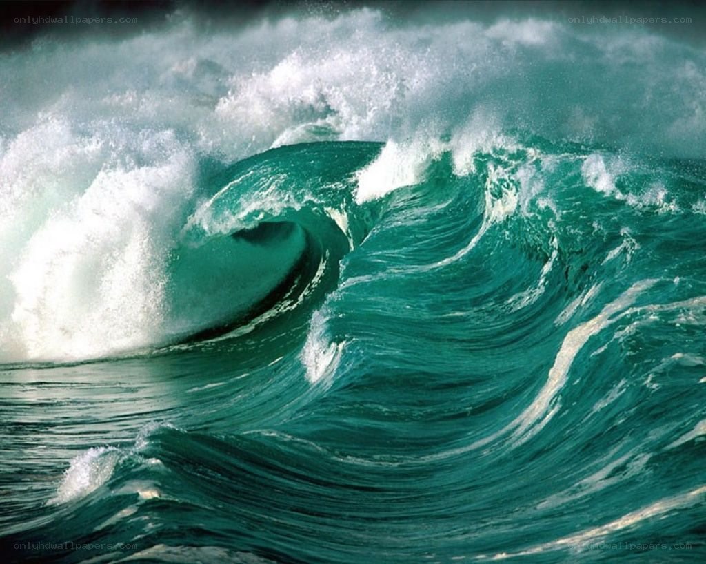 Powerful ocean wave curling