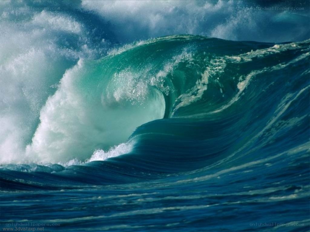 Powerful ocean wave curling