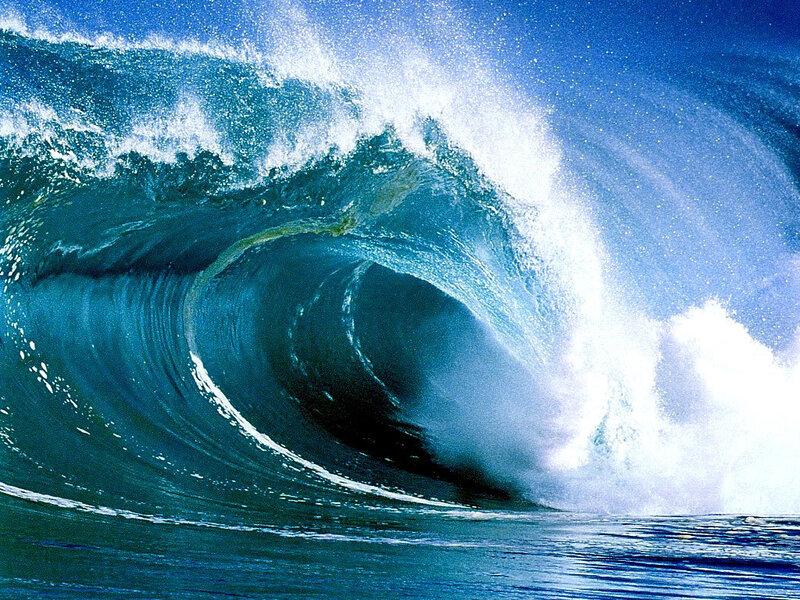 Powerful ocean wave curling