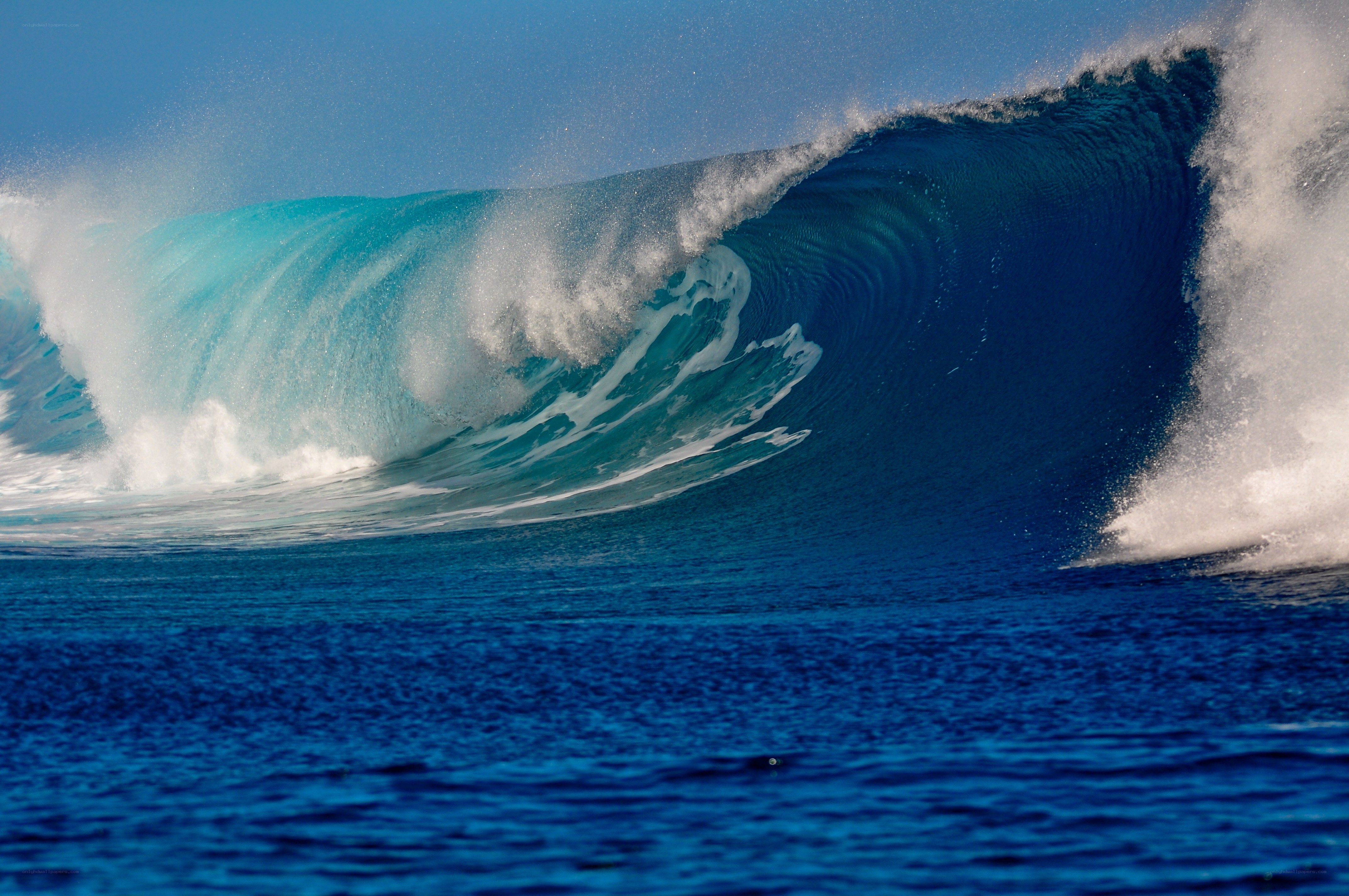 Powerful ocean wave curling