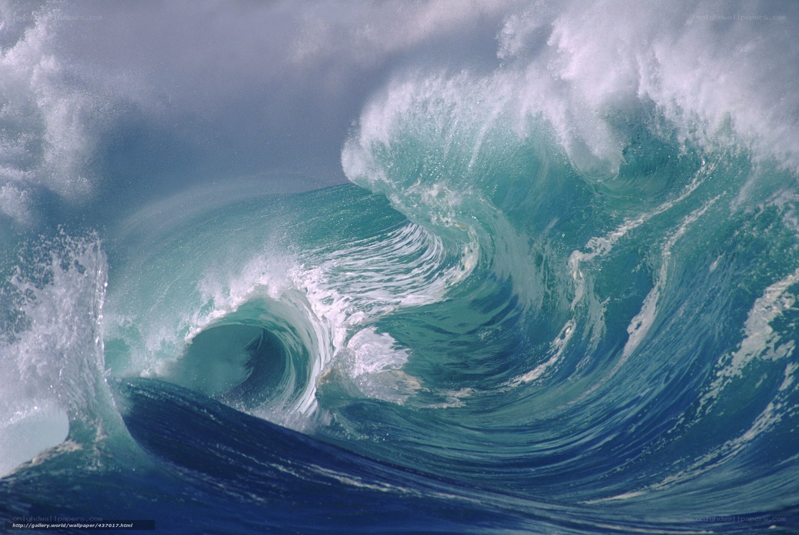 Powerful ocean wave curling