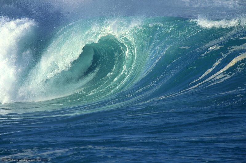 Powerful ocean wave curling