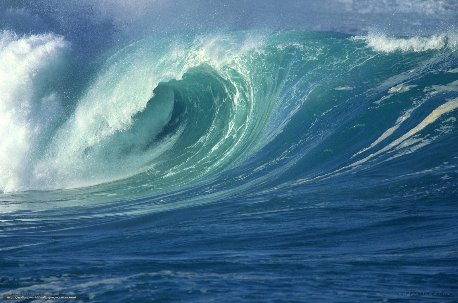 Powerful ocean wave curling