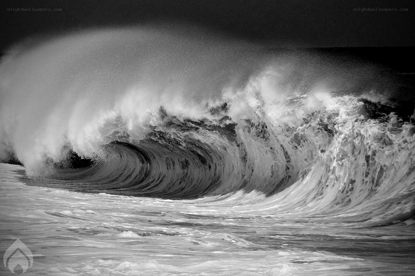 Powerful ocean wave curling