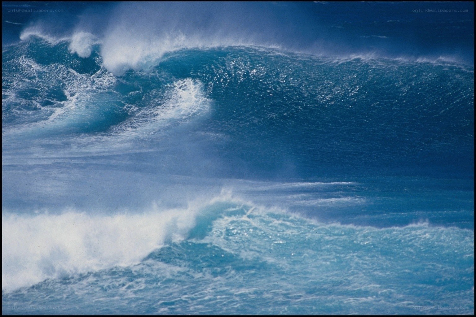 Powerful ocean waves crashing