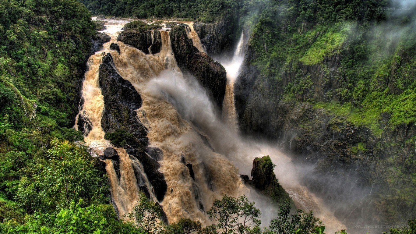 Powerful waterfall in lush forest