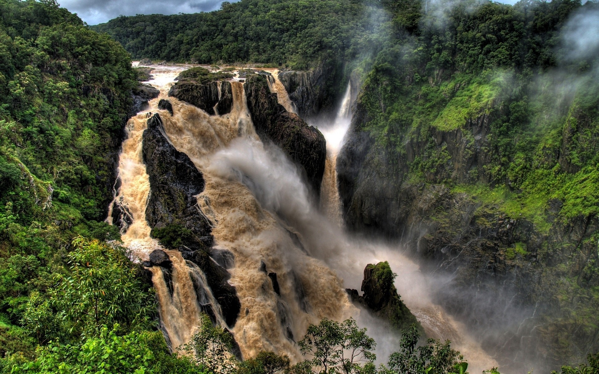 Powerful waterfall in lush forest