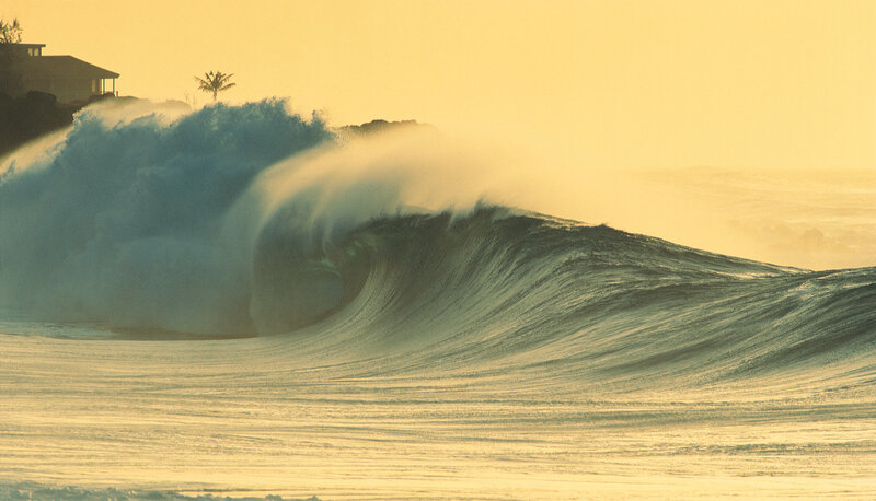 Powerful wave at sunset