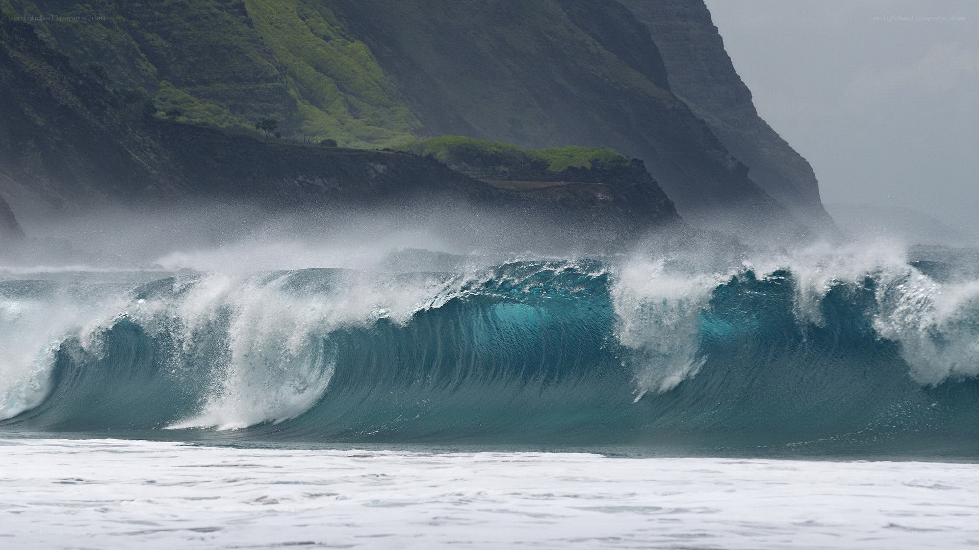 Powerful wave crashing on coast