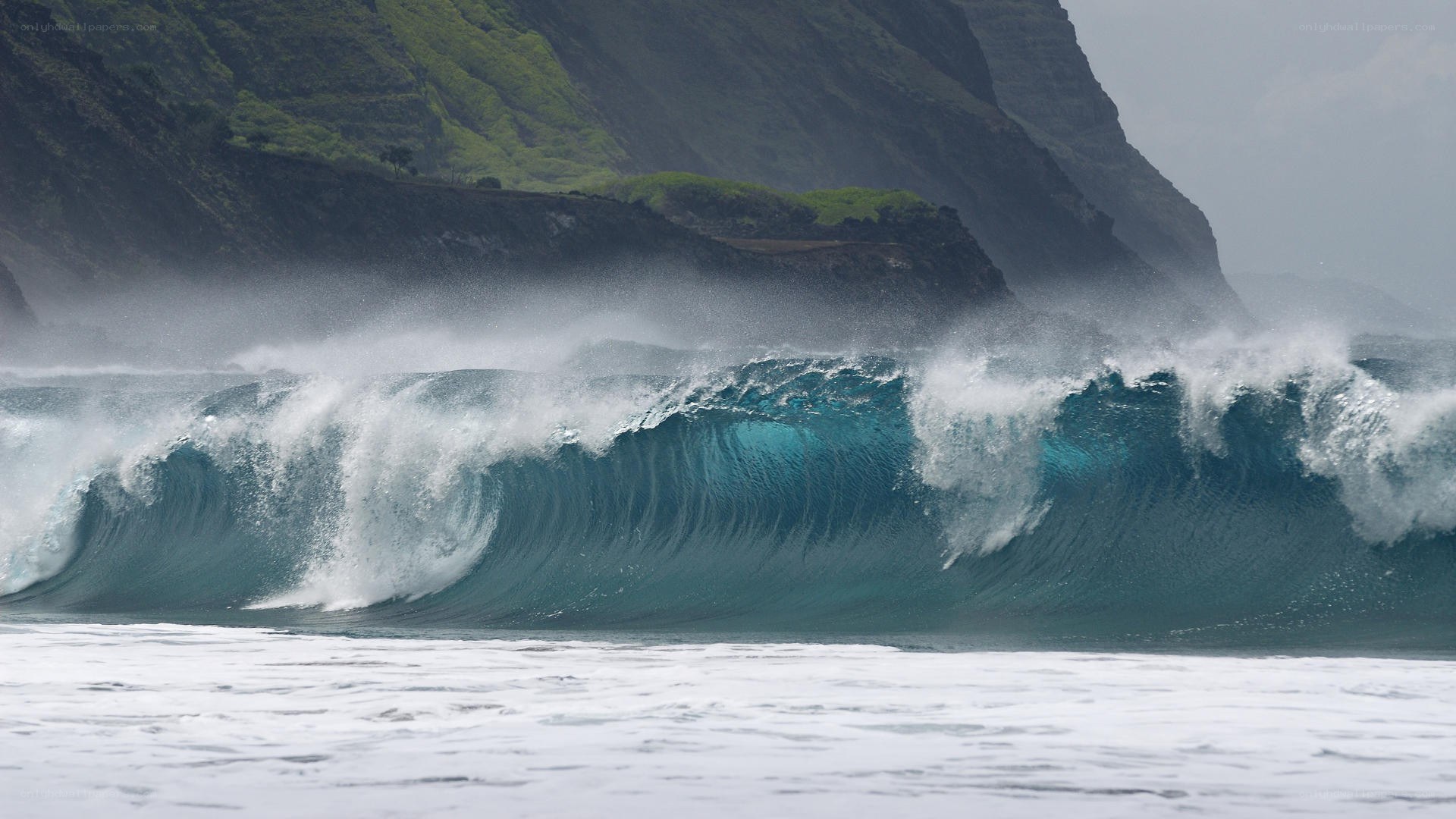 powerful wave crashing on coast
