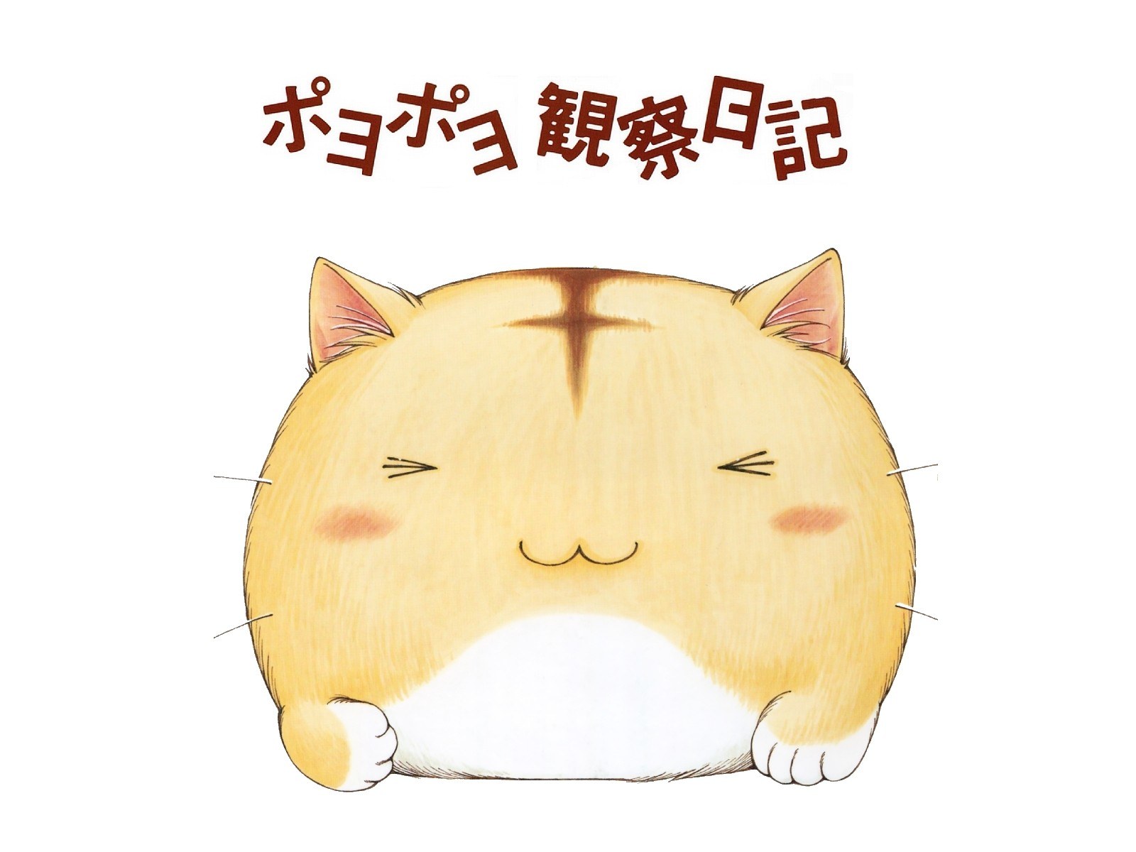 Poyo Poyo Observation Diary