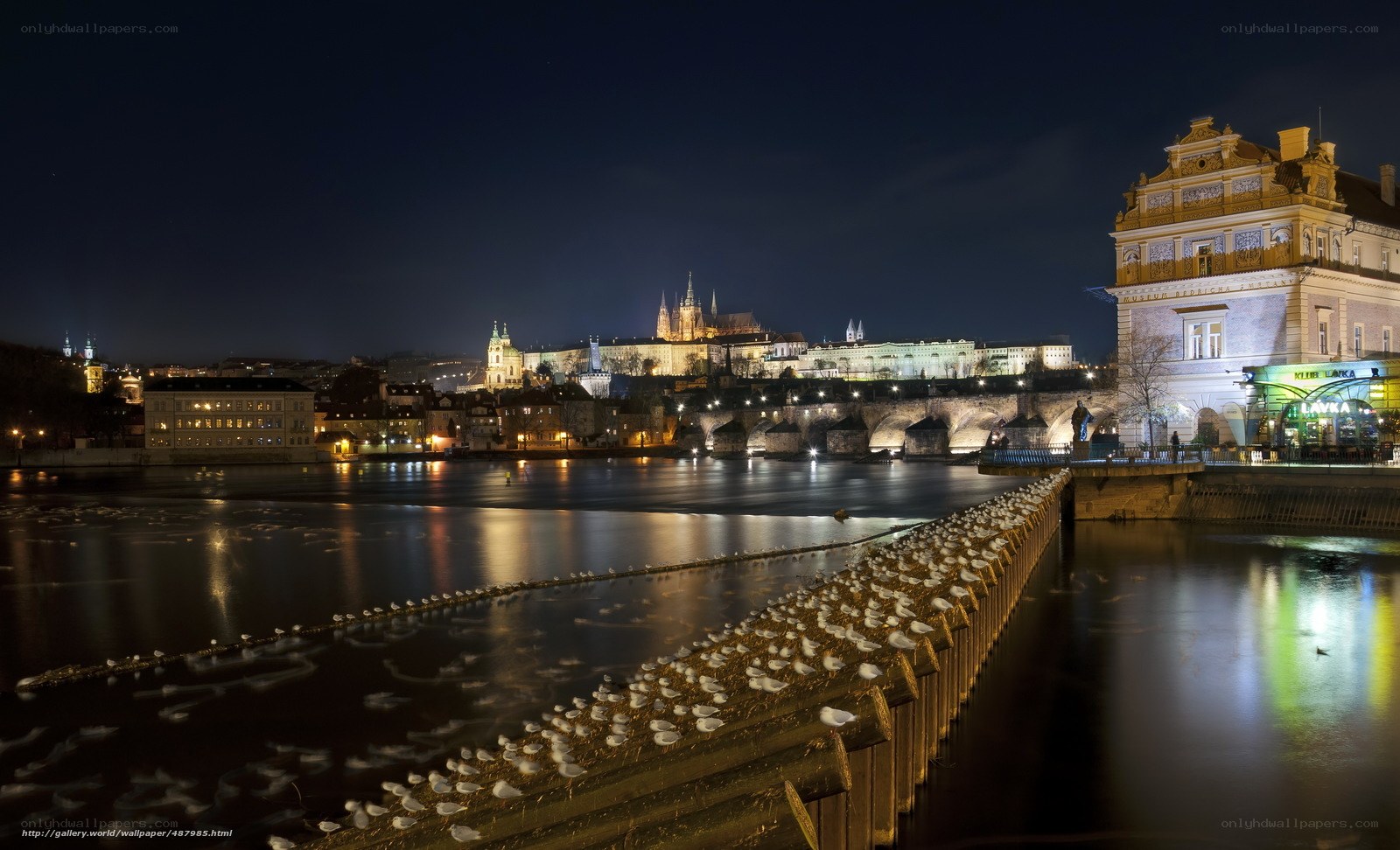 Prague at night with Charles Bridge