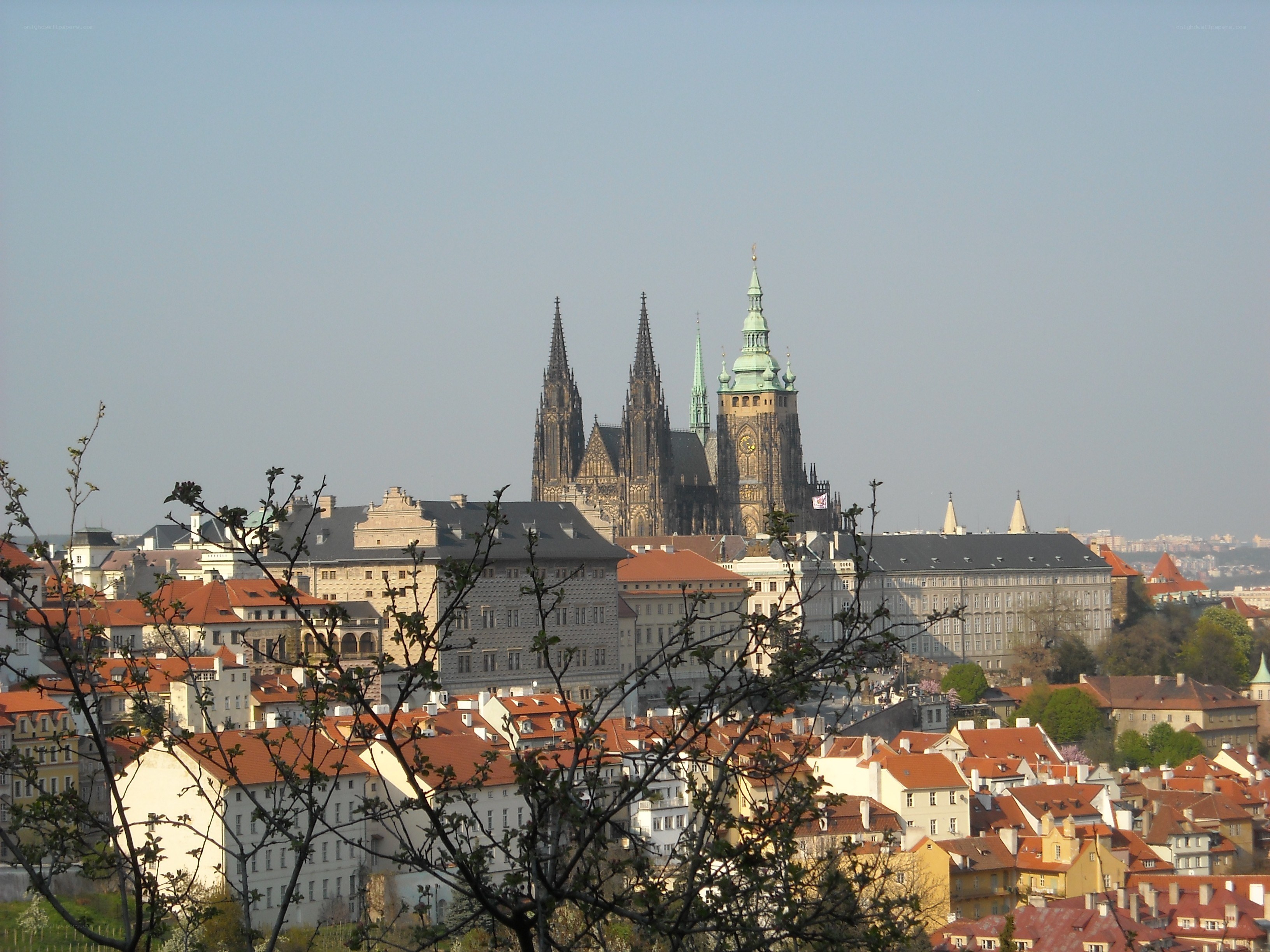 Prague Castle from a distance