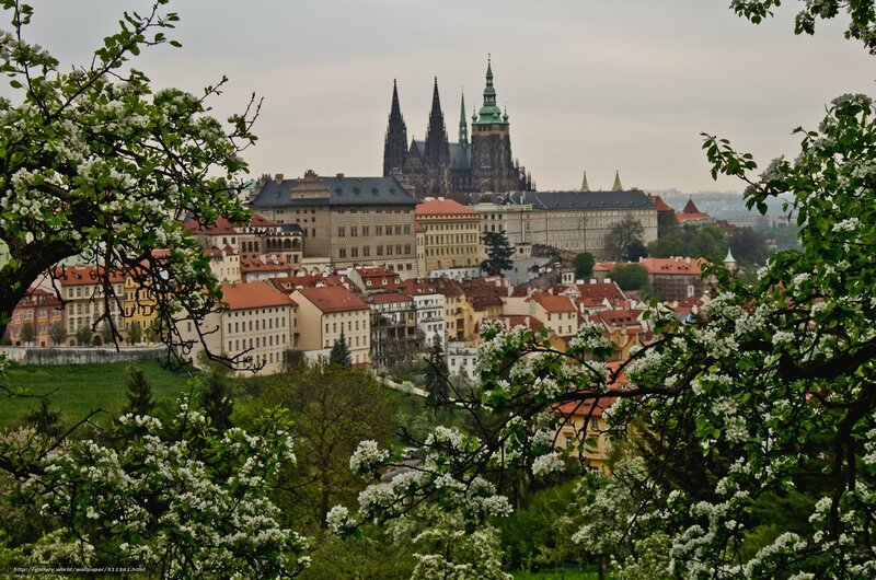 Prague Castle View