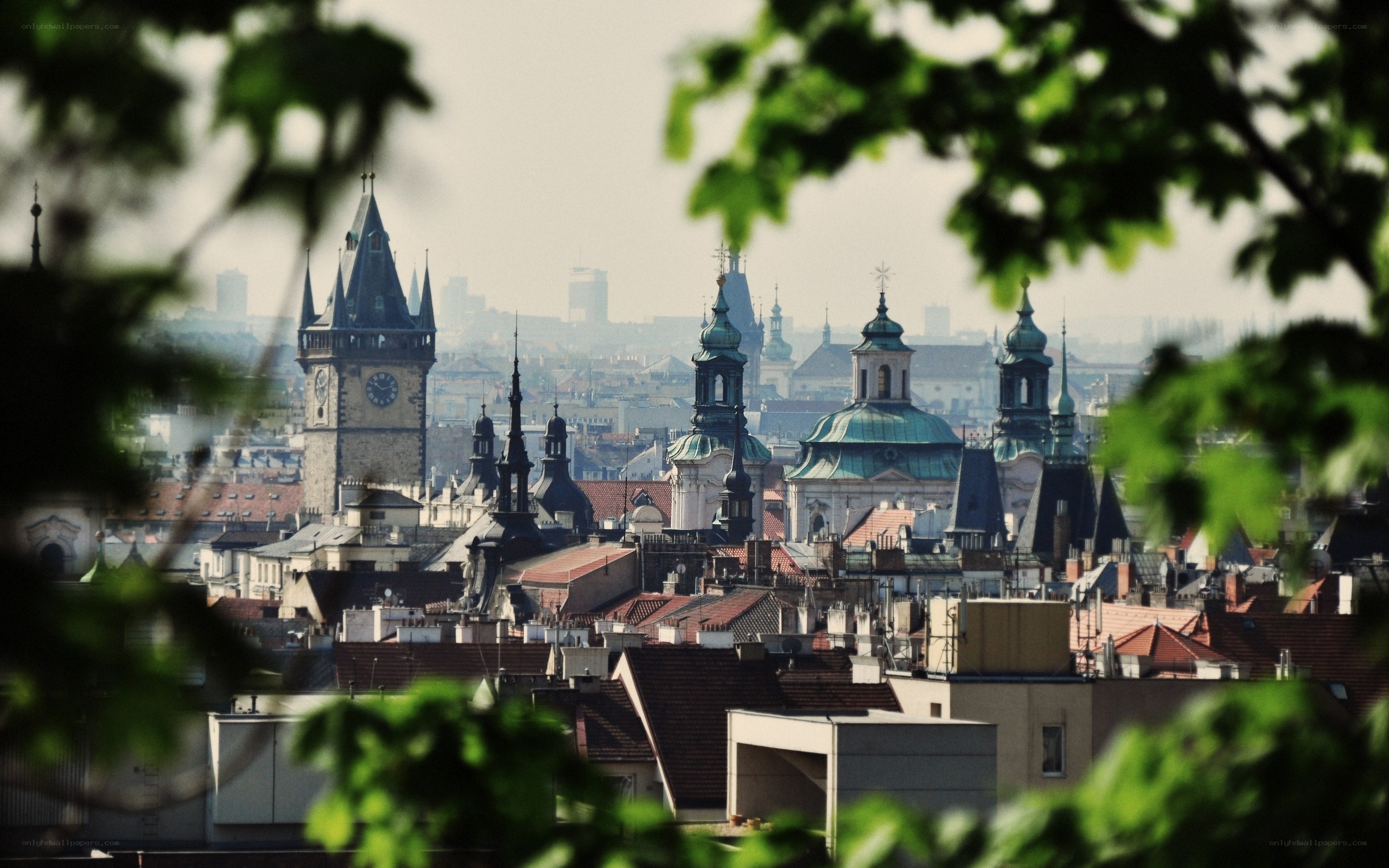 Prague cityscape through foliage