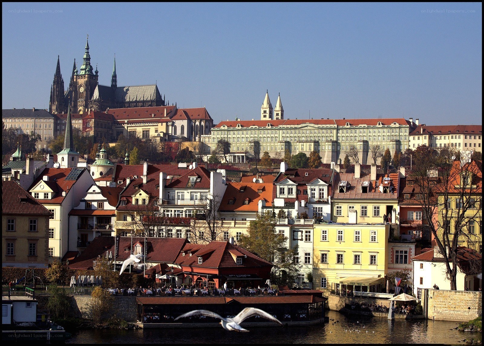Prague cityscape with castle