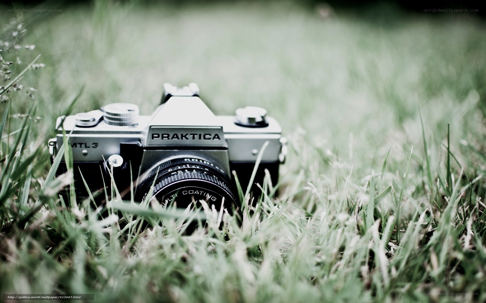 Praktica camera in grass