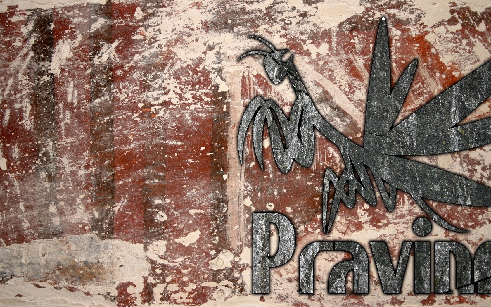 Pravine logo on textured wall