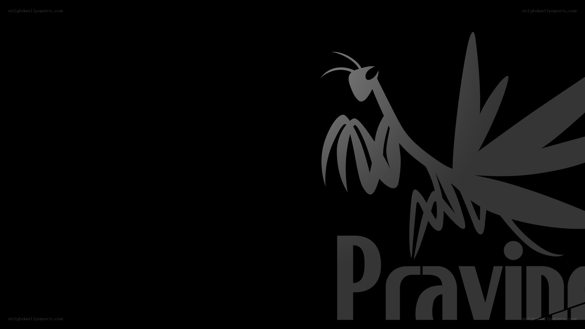 Pravine logo with praying mantis