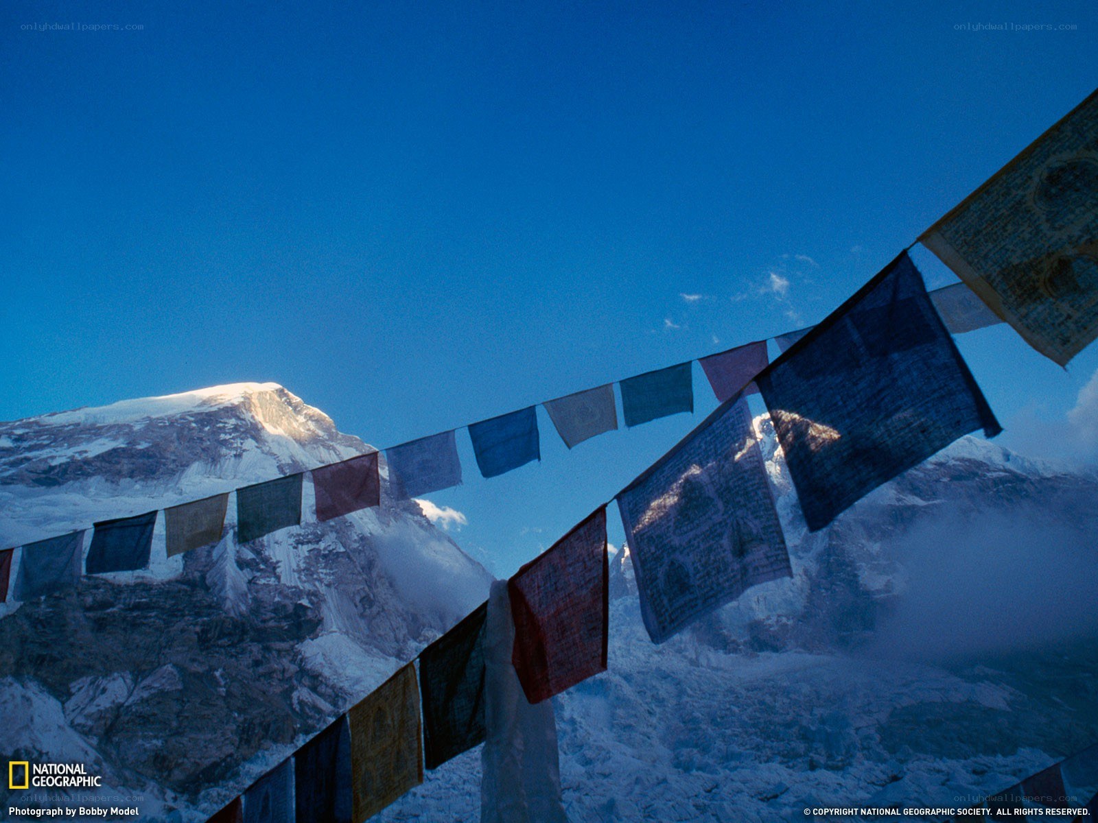 Prayer flags on a mountain