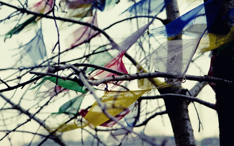Prayer Flags on Tree