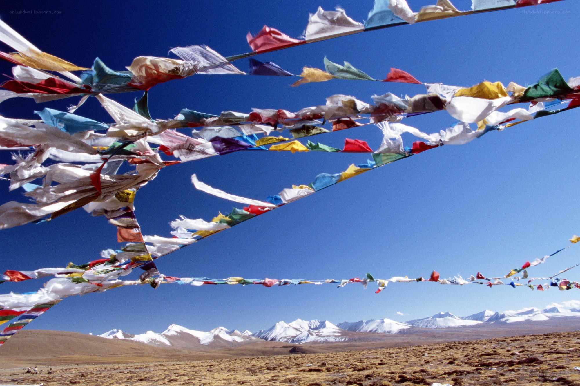 Prayer flags over snowy mountains
